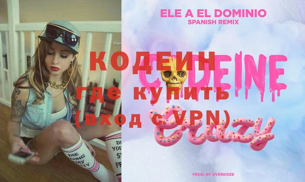 шишки Гусев
