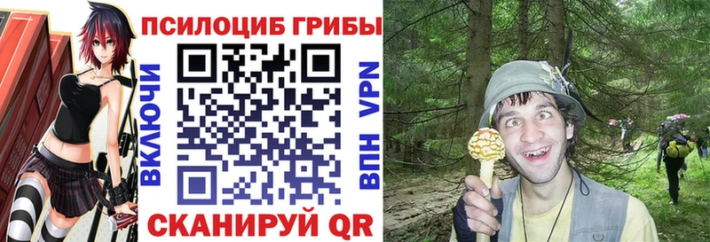 сайты даркнета клад  Нязепетровск  Галлюциногенные грибы мухоморы 